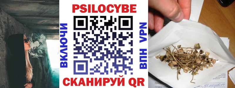 blacksprut ТОР  купить закладку  Тында  Галлюциногенные грибы MAGIC MUSHROOMS 